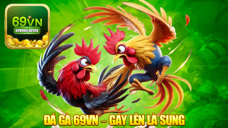 Đá gà 69VN – Gáy lên là sung, cược là trúng